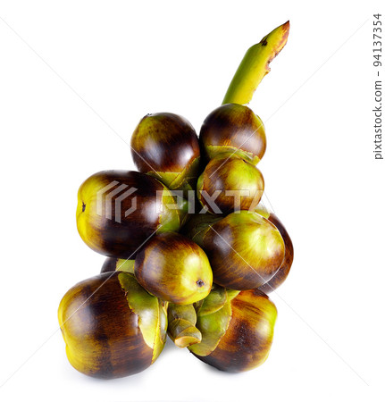 Asian Palmyra palm, Toddy palm, Sugar palm and Cambodian palm on white background.. Asian Palmyra palm, Toddy palm, Sugar palm and Cambodian palm on white background.. 94137354