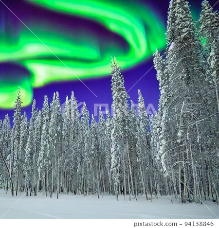 Northern lights over the forest. Polar light 94138846