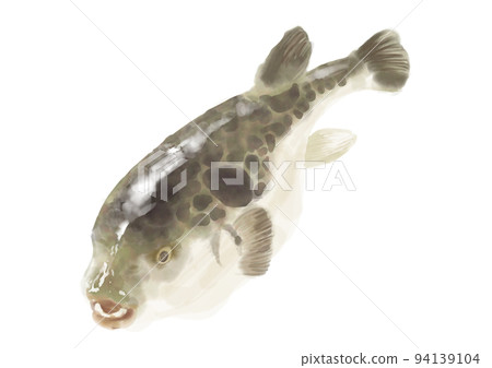 Hand-painted blowfish 01 Hand-painted blowfish 01 94139104