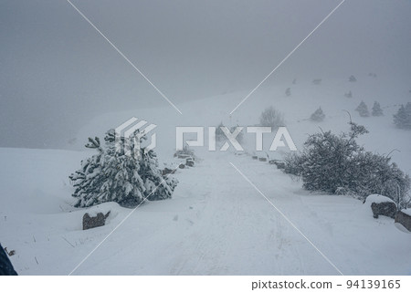 Snow covered forest on top of mountain Ai-Petri after blizzard. Crimea Snow covered forest on top of mountain Ai-Petri after blizzard. Crimea 94139165