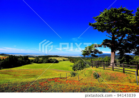 月山高原展望台 一本松 94143839