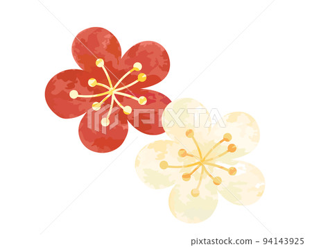 福袋 公式 紅白梅花插畫-插圖素材[94143925] PIXTA圖庫 - 絵画/タペストリー