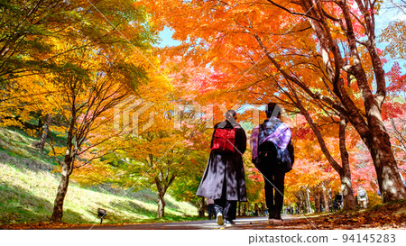 Autumn leaves of Momiji Lake, Minowa Town 94145283