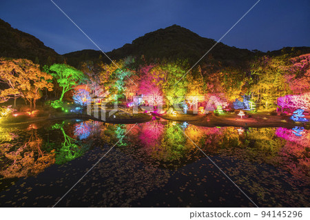 牛塚日本庭園燈飾 94145296