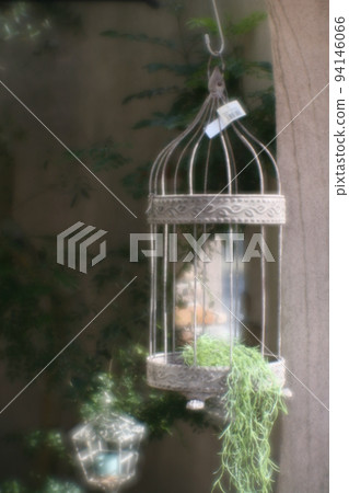 Birdcage interior Birdcage interior 94146066