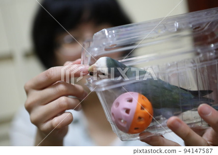 寵物 94147587
