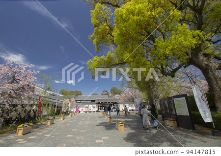 城彩園和櫻花 94147815