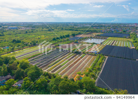 Aerial top view of roof of garden plant industry farm in agriculture concept with paddy rice field. Hydroponic natural food. Crops. Nature landscape background. Aerial top view of roof of garden plant industry farm in agriculture concept with paddy rice field. Hydroponic natural food. Crops. Nature landscape background. 94149964