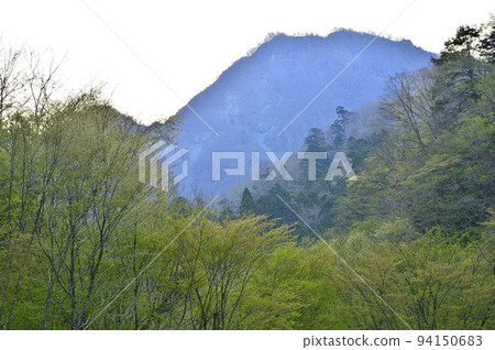 大室山，丹澤的犬越路南路線，可以欣賞到橫澤、小外和小外的新鮮綠地 94150683