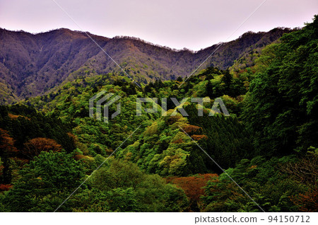 大室丹澤山的西丹澤日出 大室丹澤山的西丹澤日出 94150712