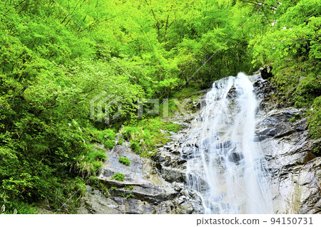 Unedegamaru in Nishitanzawa Shimodana during the fresh green season 94150731