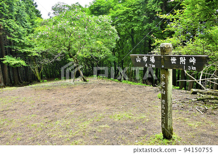 Furozan north peak in Nishitanzawa, the peak of Sansho roses blooming 94150755
