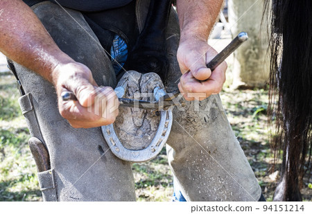 Farrier works in a field Farrier works in a field 94151214