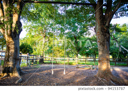 Scenery with swing 94153787