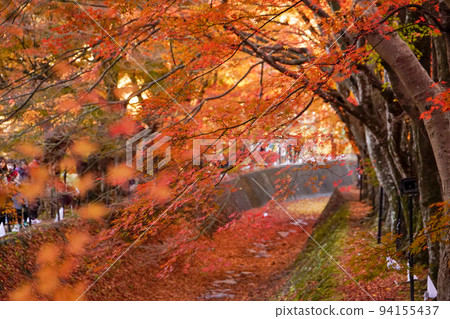 Yamanashi Prefecture Fujikawaguchiko Maple Corridor at its best 94155437