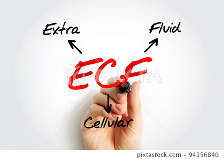 ECF Extracellular fluid - body fluid that is not contained in cells, acronym text concept background 94156840