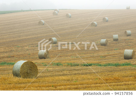 [Biei Town, Hokkaido] Morning fog and barley roll 94157856