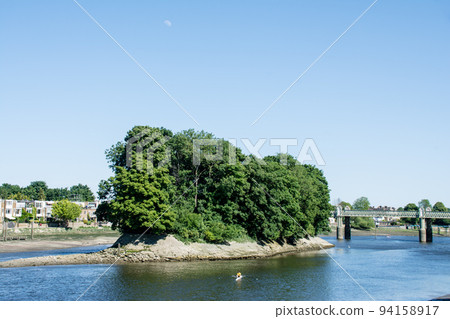 A densely wooded middle bank on the Thames in Kew, a suburb of London 94158917