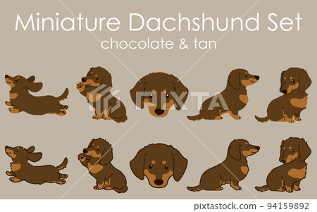 巧克力舌頭迷你臘腸犬插圖套裝帶/不帶主線 94159892