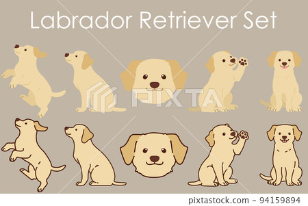 Simple and cute Labrador illustration set with/without main line Simple and cute Labrador illustration set with/without main line 94159894