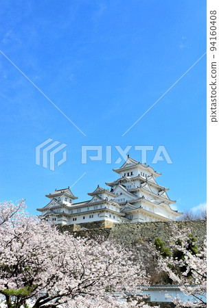 Himeji Castle and Sakura 94160408