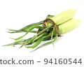 Corn 94160544