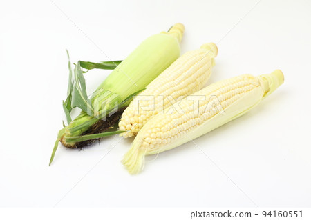 Corn Corn 94160551