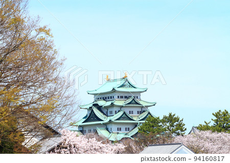 Cherry blossoms in full bloom and scenery of Nagoya Castle Cherry blossoms in full bloom and scenery of Nagoya Castle 94160817