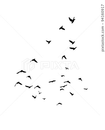 A flock of flying birds. Free birds. Vector illustration A flock of flying birds. Free birds. Vector illustration 94160917