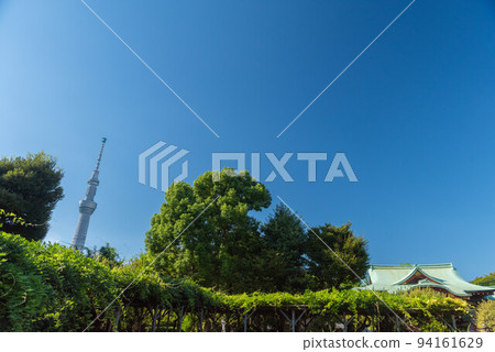 秋天的龜戶天神和東京晴空塔 秋天的龜戶天神和東京晴空塔 94161629