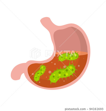 Human stomach. Virus and bacteria inside the body. Human stomach. Virus and bacteria inside the body. 94161693