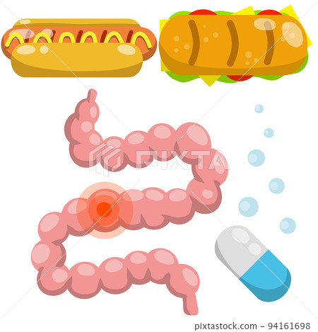 Intestine. Human digestive system. 94161698