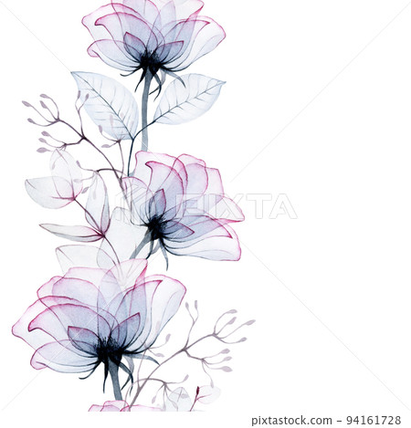 watercolor drawing, seamless border, frame of transparent flowers. transparent rose flowers and eucalyptus leaves, x-ray. vintage border isolated on white background for wedding, postcard. watercolor drawing, seamless border, frame of transparent flowers. transparent rose flowers and eucalyptus leaves, x-ray. vintage border isolated on white background for wedding, postcard. 94161728
