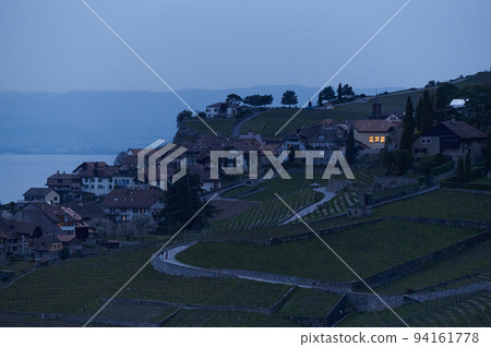 Vineyard terrace, Lavaux, Switzerland Vineyard terrace, Lavaux, Switzerland 94161778