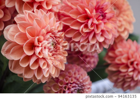 Apricot-orange dahlia on a blurred background. 94163135