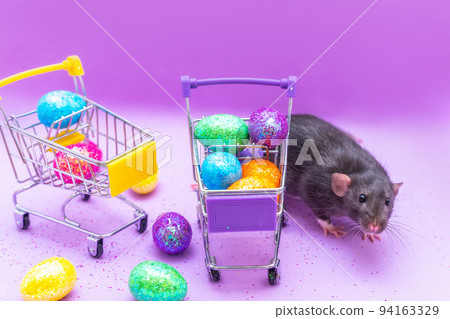 Happy Easter background. Easter eggs are colorful in a shopping basket on purple paper. Dumbo rat stands on its hind legs and leans on a basket. Holiday concept. Copy space for text. 94163329