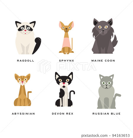 Different Cat Breed with Ragdoll, Sphynx, Maine Coon, Abyssinian, Devon Rex and Russian Blue Vector Set Different Cat Breed with Ragdoll, Sphynx, Maine Coon, Abyssinian, Devon Rex and Russian Blue Vector Set 94163653