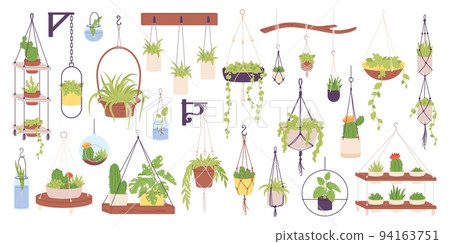 Houseplants in hanging pots. Flower plant macrame pot for decor interior wall garden indoor office house floral planter, hang flowerpot cactus ficus, garish vector illustration 94163751