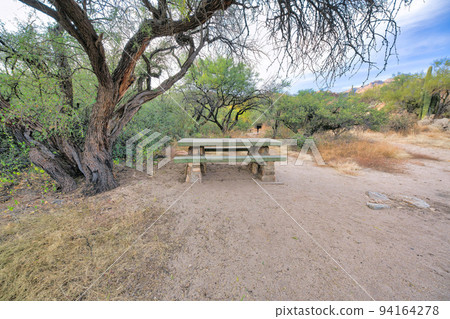 Camping table with seats beside a large tree at Sabino Canyon State Park in Tucson, Arizona Camping table with seats beside a large tree at Sabino Canyon State Park in Tucson, Arizona 94164278
