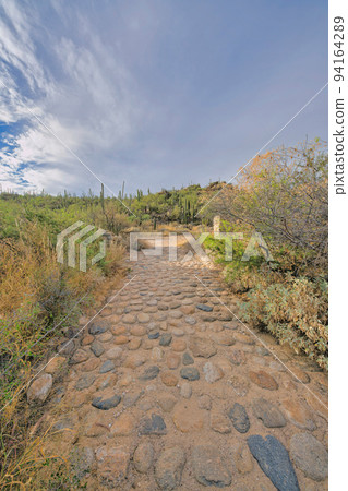 Trail in the middle of wild shrubs with arranged rocks at Tucson, Arizona 94164289