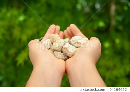 Child's hand holding a pot bottom stone (maple background) Child's hand holding a pot bottom stone (maple background) 94164652