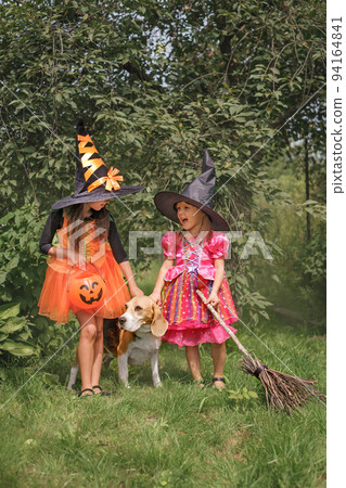 Cute funny amusing sisters in black hats and witch costumes , with a broom in their hands and a faithful dog are laughing merrily on Halloween eve Cute funny amusing sisters in black hats and witch costumes , with a broom in their hands and a faithful dog are laughing merrily on Halloween eve 94164841