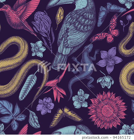 Tropical animals seamless pattern background design. Engraved style. Hand drawn snake, lizard, hummingbird, toucan, rajah brooke's birdwing, african giant swallowtail, monstera, strelitzia, protea 94165172