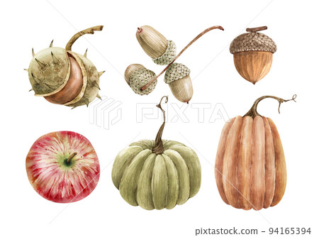 pumpkin, fruit, watercolor 94165394