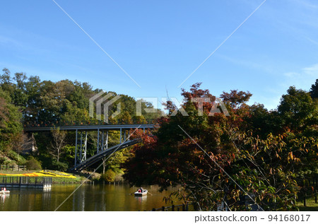 If you walk through the park in late autumn If you walk through the park in late autumn 94168017