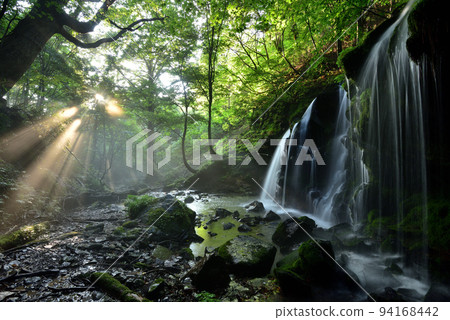 Monkey Bottle Falls 94168442