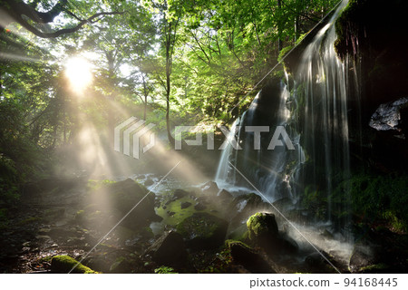 Monkey Bottle Falls 94168445