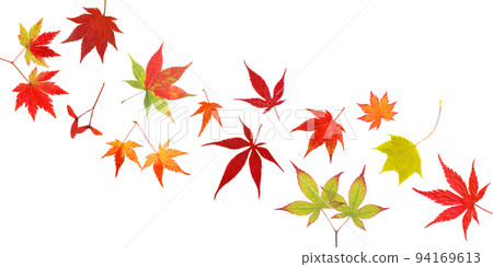 Maple leaves deeply colored in autumn, autumn leaves background 94169613