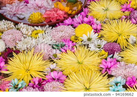 Beskoe Shrine's Hanasui (Chrysanthemum Festival), Nagoya City Beskoe Shrine's Hanasui (Chrysanthemum Festival), Nagoya City 94169662