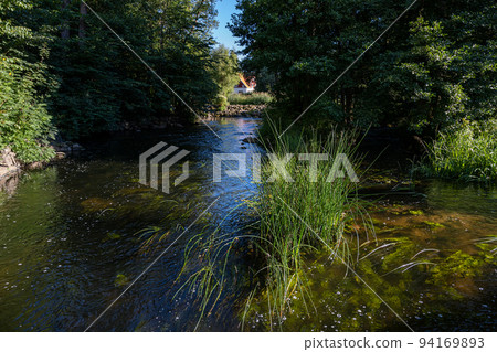 Lush green trees by Ronne river, Stockamollan, Scania county, Sweden Lush green trees by Ronne river, Stockamollan, Scania county, Sweden 94169893